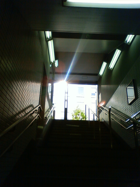 f0179947_062771.jpg