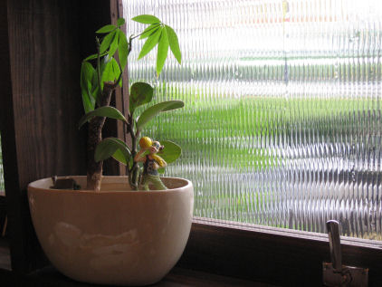 c0073649_9144051.jpg