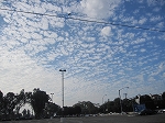 a0137253_7412195.jpg
