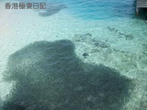 f0190653_10183598.jpg