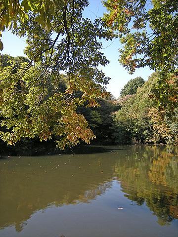 a0001354_21524225.jpg