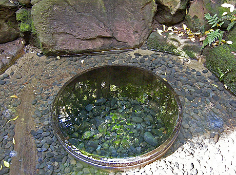 a0001354_21532074.jpg
