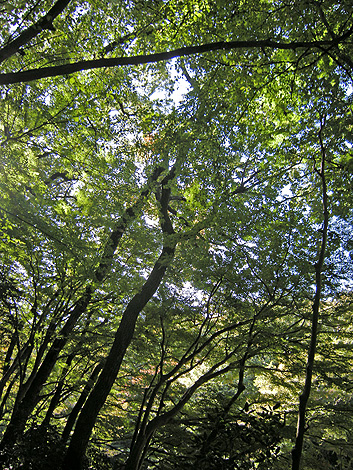a0001354_21533146.jpg