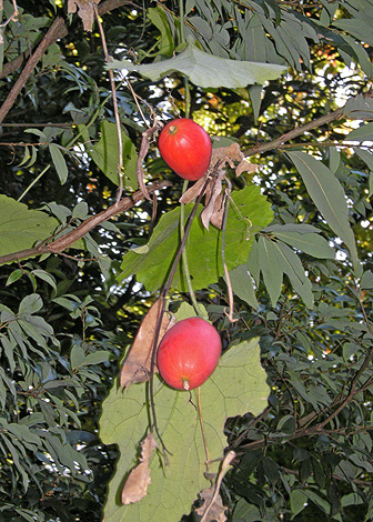a0001354_2153992.jpg