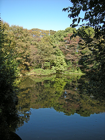 a0001354_22172612.jpg