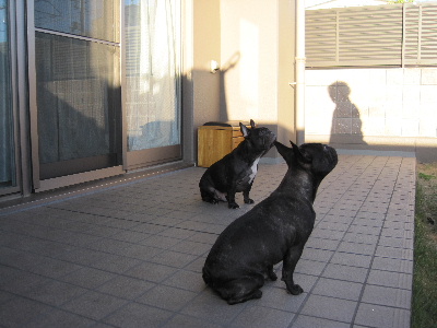 e0126054_20293559.jpg