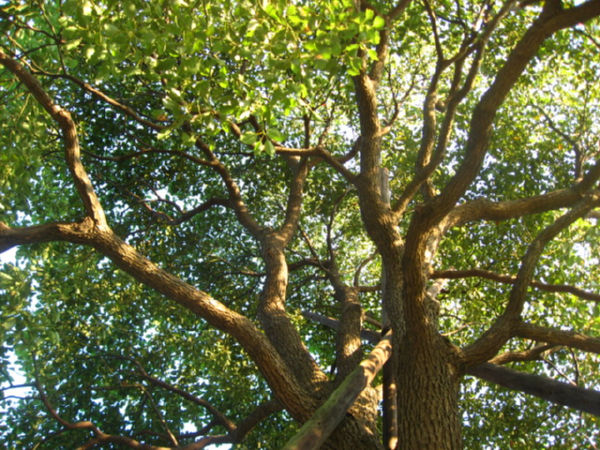 b0165858_1362941.jpg