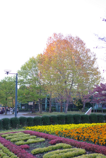 d0141161_8274445.jpg