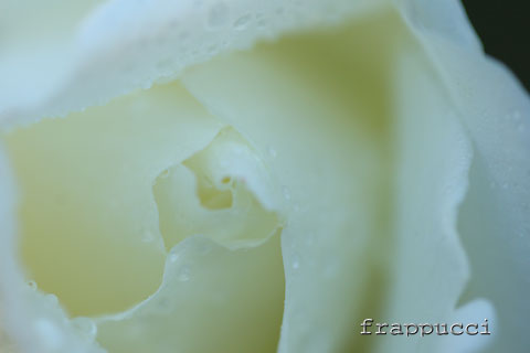 d0056263_1763022.jpg
