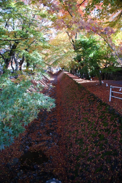 a0091666_16183280.jpg