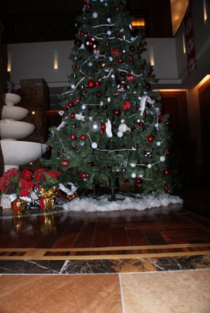 a0091666_16252880.jpg