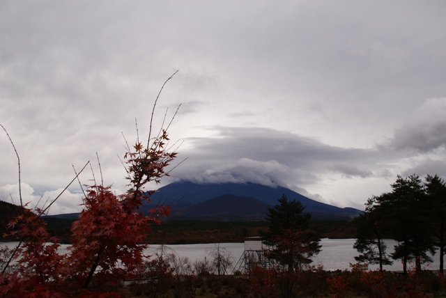 a0091666_8234514.jpg