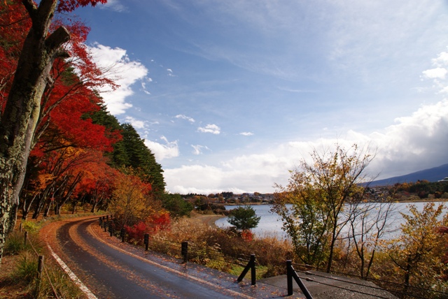 a0091666_8475418.jpg