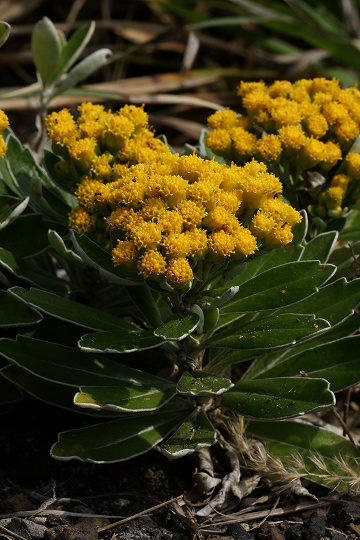 e0054067_0475892.jpg