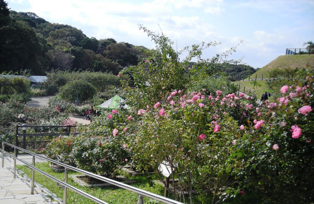 d0141071_01393.jpg