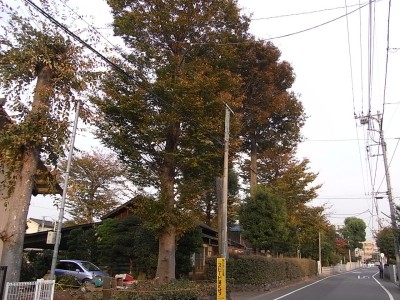 c0112172_2334219.jpg
