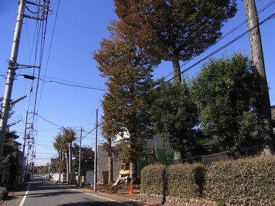 c0112172_233527100.jpg