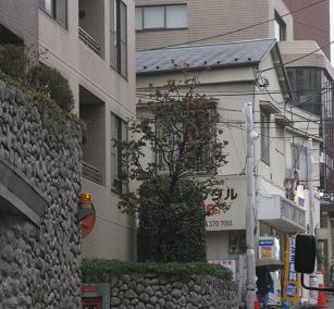 b0120675_12551310.jpg