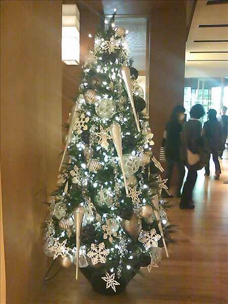 f0139077_235379.jpg