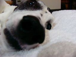 c0072379_22302430.jpg