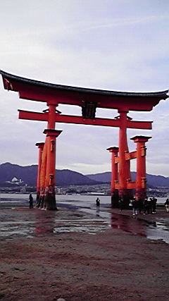 b0005683_12213894.jpg