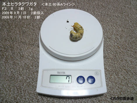 f0183484_3554832.jpg