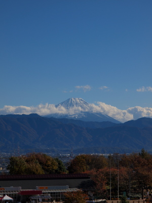f0103688_2194125.jpg