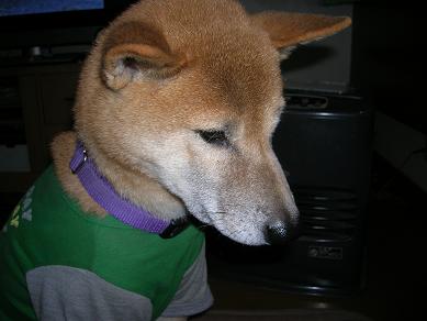 c0123890_1943487.jpg