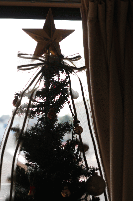 d0100192_23405940.gif