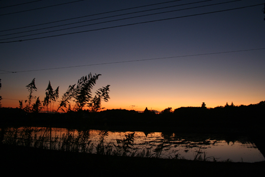d0100095_17291020.jpg