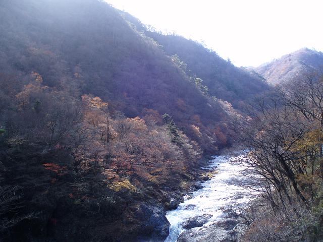 e0073196_15484271.jpg