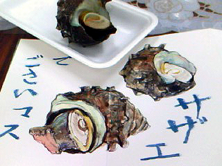 f0008597_1933882.jpg