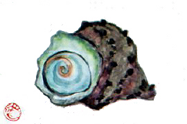 f0008597_1935562.jpg