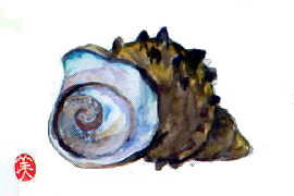 f0008597_1941613.jpg