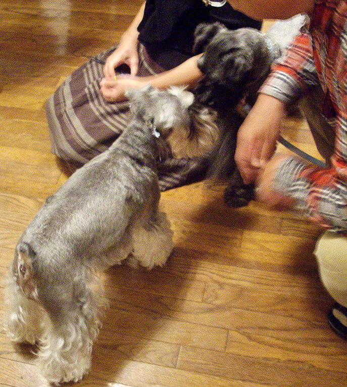 c0138198_20423692.jpg