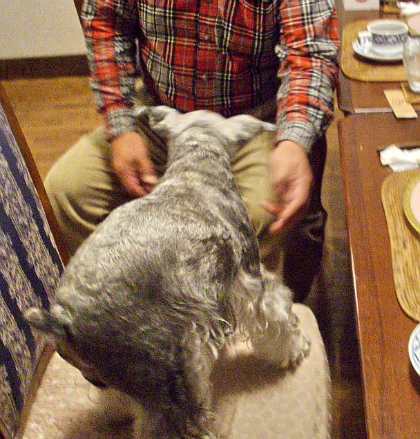 c0138198_20432547.jpg