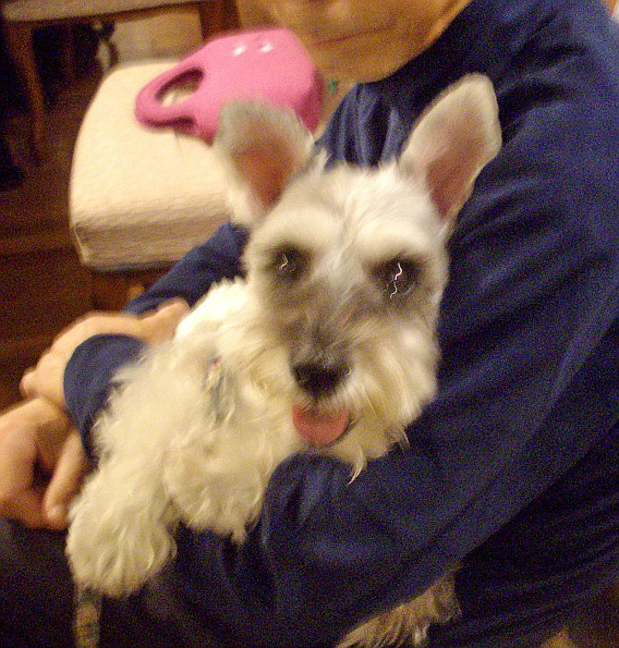 c0138198_20441773.jpg