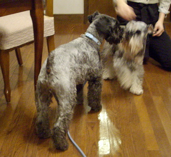 c0138198_20455717.jpg