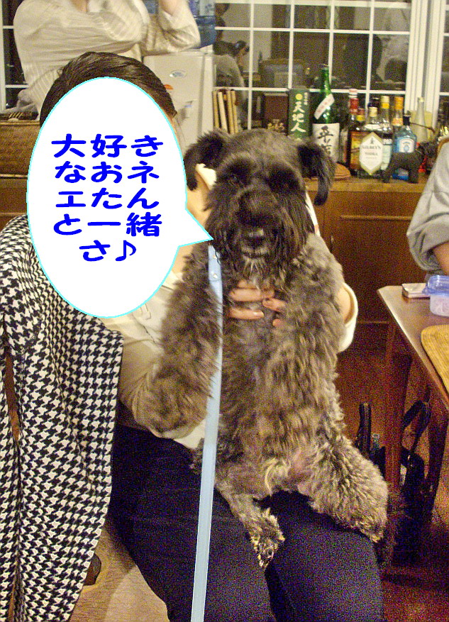c0138198_20473998.jpg