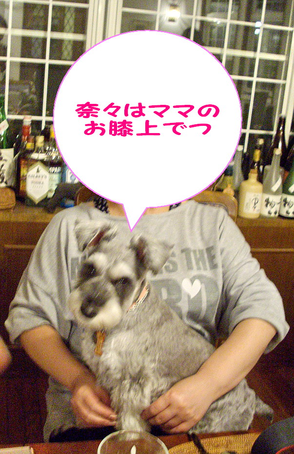 c0138198_20482867.jpg