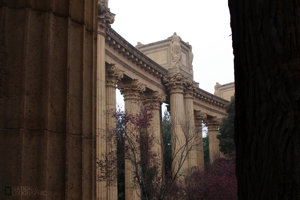 c0080101_224597.jpg