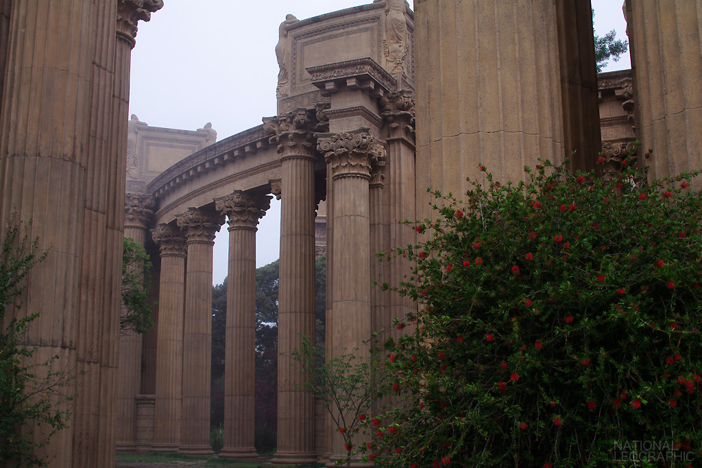 c0080101_225123.jpg