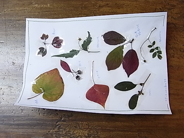 c0176802_0124413.jpg