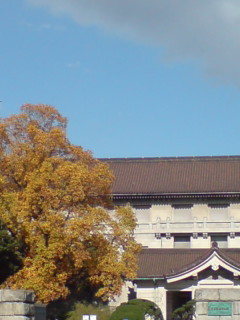 c0154206_12101037.jpg