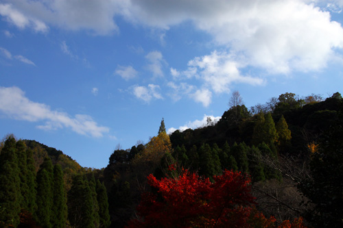 b0014607_22144166.jpg