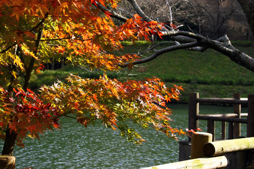 b0014607_22203938.jpg