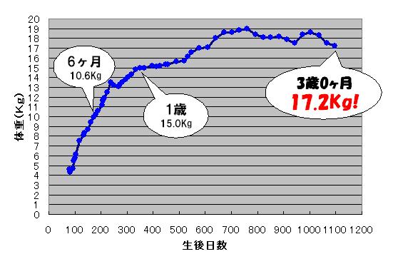 c0113109_0361496.jpg
