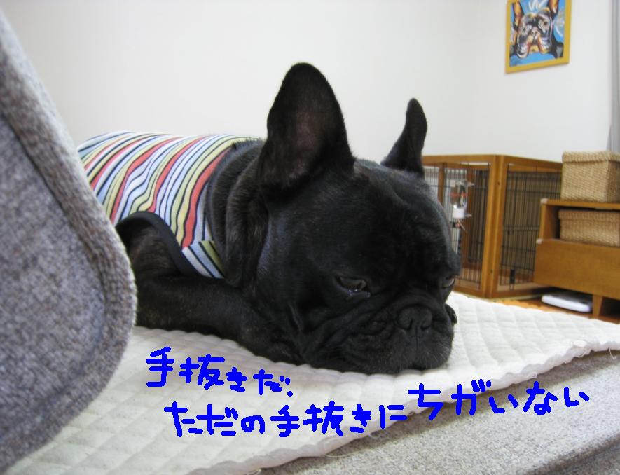 c0113109_0444433.jpg