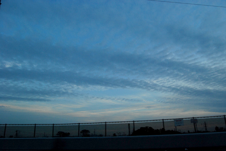 d0113613_1535594.jpg