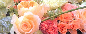 a0052621_20552919.jpg
